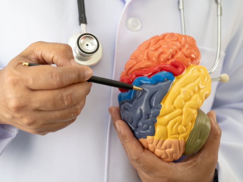 Dificuldade na Escola ou TDAH? Quando procurar um Neuropediatra