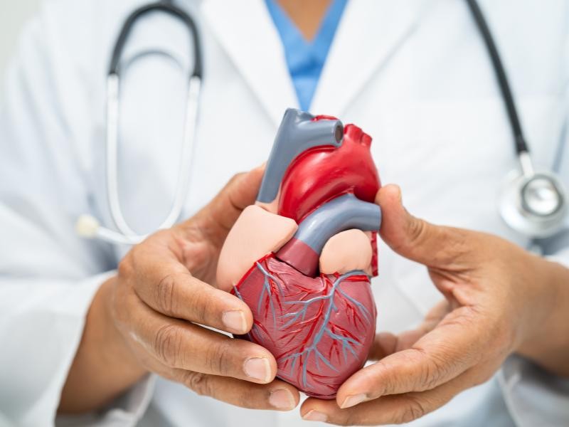 Fatores de Risco para Doenças Cardiovasculares: O Que Você Precisa Saber ao Consultar um Cardiologista