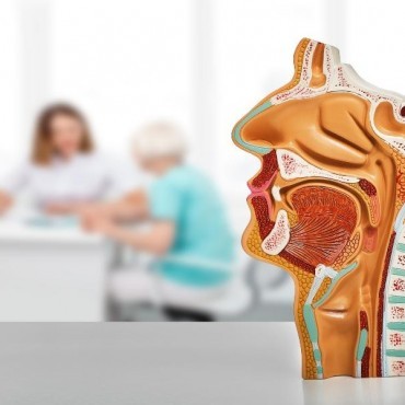 Consulta Otorrinolaringologista em Vigia