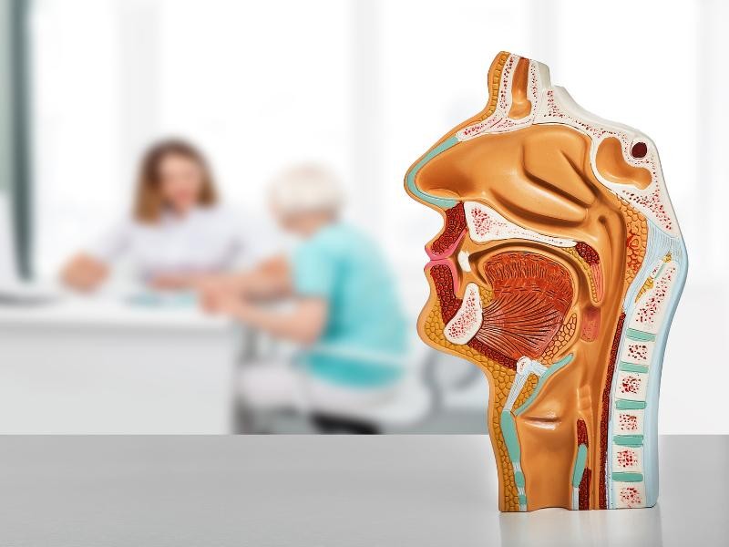 Consulta Otorrinolaringologista